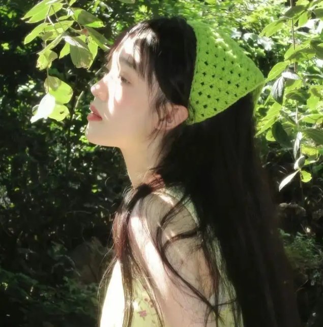 男子高中生的日常